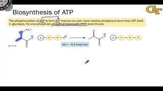 2208 Biosynthesis of ATP [upl. by Ykceb343]