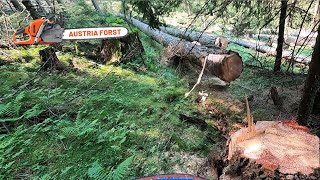 Holzfällen für Seilbahn [upl. by Rorie]