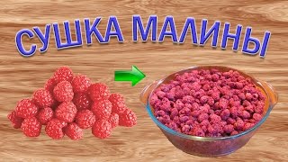 Как сушить ягоды малины Малиновая пастила [upl. by Ydissak]