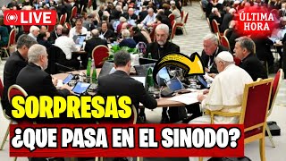 🔴 Vaticano en Alerta La Importancia del Sínodo para la Fe Católica🔥 [upl. by Trutko]