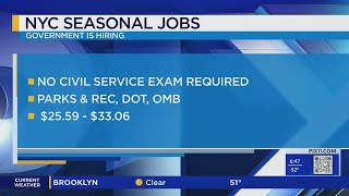 NYC hiring for seasonal jobs across all five boroughs How to apply [upl. by Houghton]