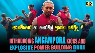 MASTERING Powerful Kicks ANGAMPORA Kick Lesson  අංගම්පොර පා පහරවල් angampora selfdefense [upl. by Eedrahc]