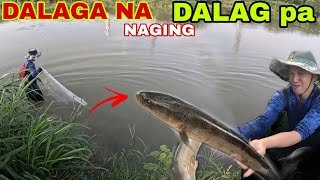 intense FISHING SA MGA DALAG 😂  Catch AND COOK PESANG DALAG [upl. by Eyllek]