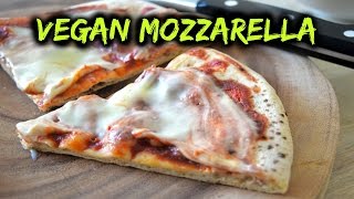 Vegan Mozzarella Cheese [upl. by Aldus915]