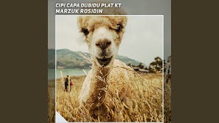 Cipi Capa Dubidu Plat Kt [upl. by Enymzaj]