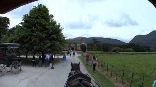 Visit Irelands Killarney Muckross House Estate in a Horse Drawn Carriage [upl. by Aspasia]