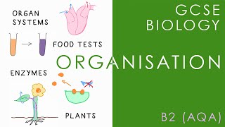 ORGANISATION  GCSE Biology AQA Topic B2 [upl. by Granoff]