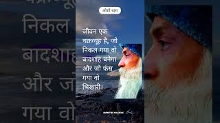 Osho most inspirational speech oshohindipravachan oshomeditation oshomotivationforstudents [upl. by Hannahs]