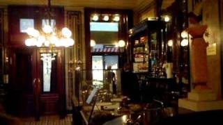 Demel Cafe  Vienna  Austria [upl. by Jeno]