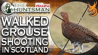 Walked Up Grouse Shooting in Scotland [upl. by Tolecnal903]