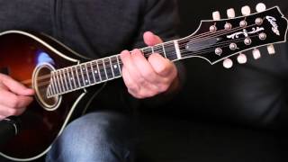 Irish mandolin lessons The Lilting banshee jig [upl. by Amalberga946]