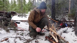 Winter Overnighter in Wet and Windy Conditions with my 2 Dogs [upl. by Hairym207]