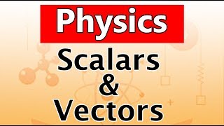 Scalars and Vectors  Physics  Science  Letstute [upl. by Nahtiek]