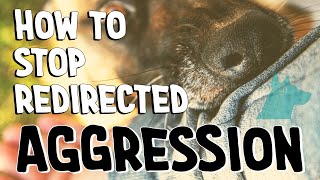 How to stop redirected aggression  MUST WATCH 🤯 [upl. by Jocelin]