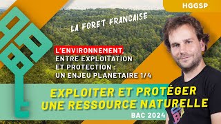 HGGSP Thème 5  Environnement  exploitation et protection 14  La forêt française  Bac 2025 [upl. by Philippe]