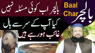 Baalchar Ka Elaj Alopecia Areata Symptoms amp Treatment Urdu Alopecia Ka Ilaj  Hakeem Mehmood Tohidee [upl. by Mercedes]