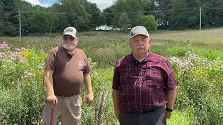 Bobwhite Quail Released [upl. by Henrie]