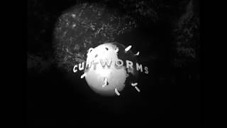 Cut Worms  Till Tomorrow Goes Away Official Audio [upl. by Yednarb744]