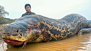 15 Deadliest Amazon River Monsters [upl. by Akimit220]