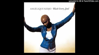 Angelique Kidjo  Refavela [upl. by Lowell]