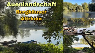 Auenlandschaft  Berghäuser Altrhein  Speyer [upl. by Aelak]