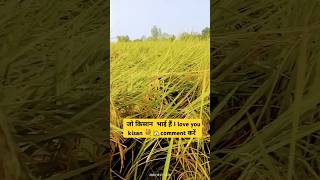 Love you kisan bhaiyo farming kheti shorts ytshorts viralshorts farmer love farmer [upl. by Llerrehs]