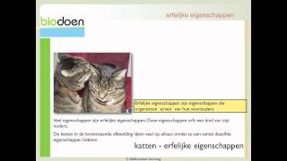 Biodoen  eigenschappen en chromosomen 1 van 5 [upl. by Emily]