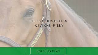 Lot 69 Dundeel x Kevikki Filly from Nolen Racing [upl. by Naeloj]