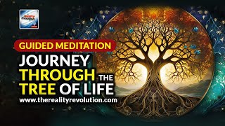 Guided Meditation  Journey Through The Tree Of Life [upl. by Bucky]