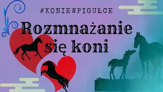 konieWpigułce  Rozmnażanie się koni ♡ Jak powstają źrebaki ♡ cz I [upl. by Yramanna206]