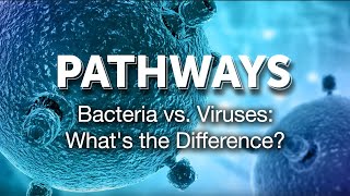 Pathways Bacteria vs Viruses Whats the Difference [upl. by Zetana]