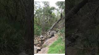 Hidden Beach in Jervis Bay fishing australia nature ocean goprounderwater creek travel [upl. by Ecirtra]