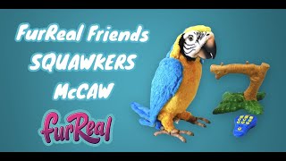 Hasbro FurReal Friends Squawkers McCaw  Talking Parrot [upl. by Bac]