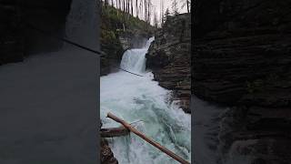 Beautiful St Marys Falls on a rainy day hiking nature shorts [upl. by Eelrahc2]