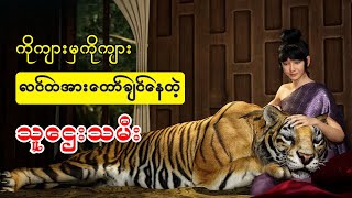 သမန်းကျား နဲ့ညားတဲ့ သူဌေးသမီး အောက်လမ်းနည်း [upl. by Mehetabel271]