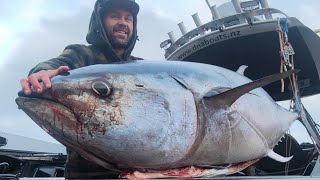 Southern Bluefin Tuna caught in the Hokitika Trench NEW ZEALAND with josh james and friends [upl. by Hcelemile638]