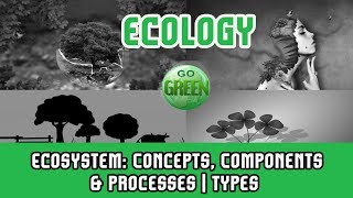 8 Ecology Ecosystem Concepts Components amp ProcessesTypes of EcosystemOpen SystemClosed System [upl. by Atined]