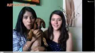 Polinesios en Twitcam Parte 1 de 8 [upl. by Undis731]