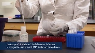 How to stabilize RNA in fresh specimens [upl. by Joachim]