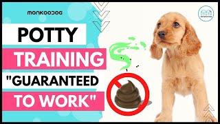 Step by step guide To POTTY 💩 Train Your Puppy 🐶 easily II Puppy Training tips II [upl. by Ainod951]