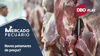 Alta do boi gordo poderá elevar o valor da carne bovina brasileira no mercado internacional [upl. by Ardnael119]