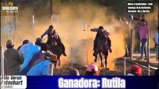 Hípico El Quebrachito Salta Video de Rutila y Calandria [upl. by Bari]