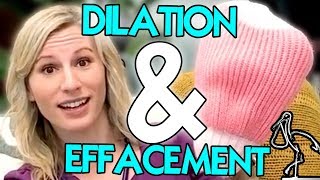 Dilation and Effacement Explained [upl. by Niassuh]