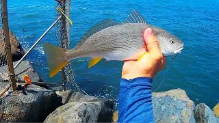 Shore Fishing from Rock Jetties  Surf Fishing in Southern California [upl. by Adnic]