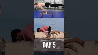 Day 5 Training Until I Can PLANCHE shorts calisthenics planche [upl. by Jelks]