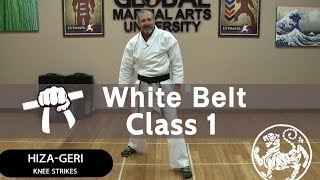 Shotokan Karate Follow Along Class  9th Kyu White Belt  Class 1 [upl. by Doykos913]