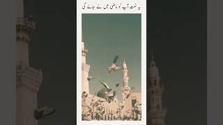 khatamul anbiya naat  aap fakhre azam shorts islamicsong oldisgold oldnaats islamic [upl. by Dombrowski751]