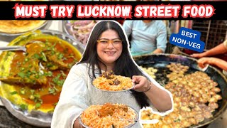 BEST LUCKNOW STREET FOOD  Best NonVeg In Lucknow  Tundey Kebabi Nihari Kulcha Mutton Biryani [upl. by Mathis861]