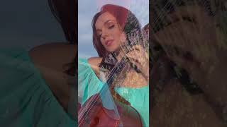 La Javanaise  Miramia cello amp Bernard Fougeirol piano  guitar [upl. by Hayalat]