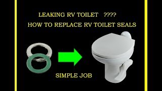 How to fix leaking THETFORD RV Toilet gasket seal flush valve not holding water replace [upl. by Ettegdirb]